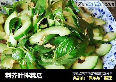 荆芥叶拌菜瓜