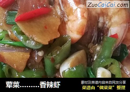 荤菜…香辣虾