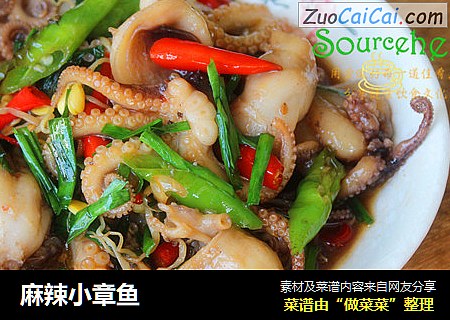 麻辣小章鱼