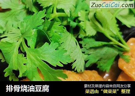 排骨烧油豆腐