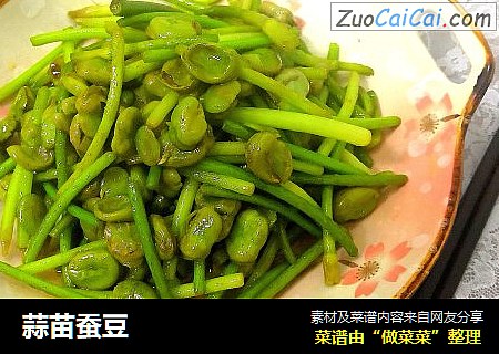 蒜苗蚕豆