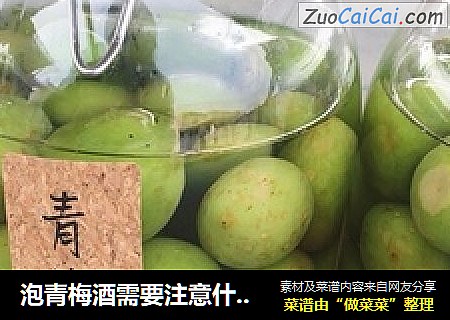 泡青梅酒需要注意什么？