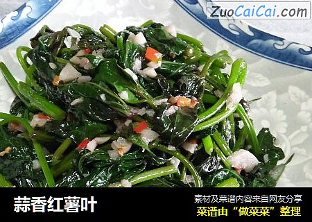 蒜香红薯叶