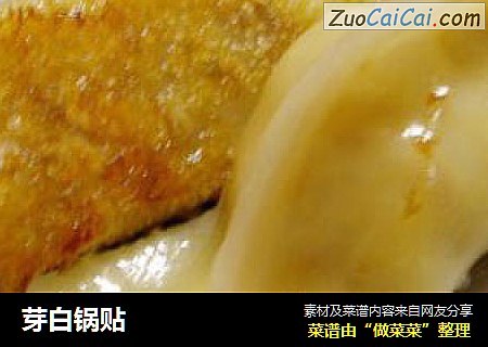 芽白锅贴