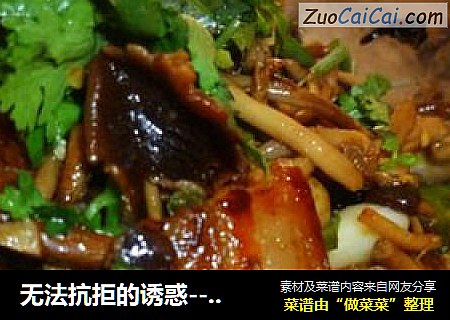 无法抗拒的诱惑-----干锅茶树菇