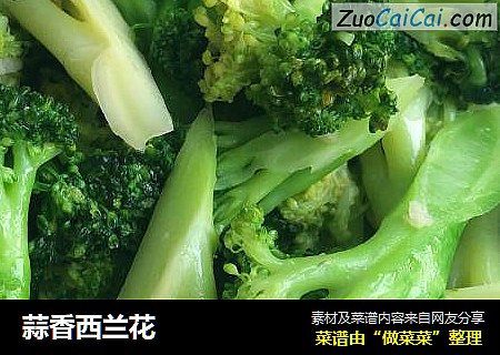 蒜香西兰花