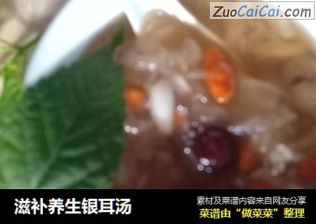 滋补养生银耳汤
