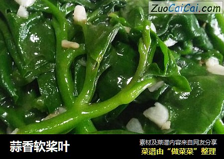 蒜香软桨叶