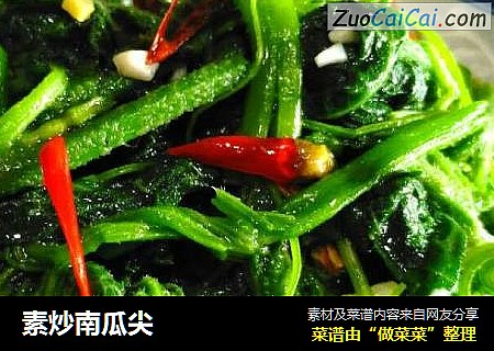 素炒南瓜尖