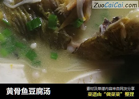 黄骨鱼豆腐汤