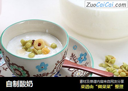 自制酸奶