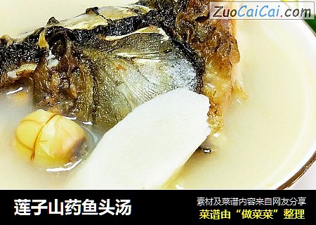 莲子山药鱼头汤
