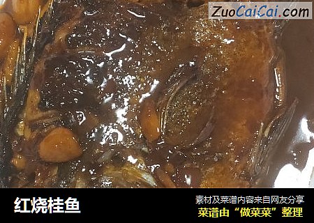 红烧桂鱼
