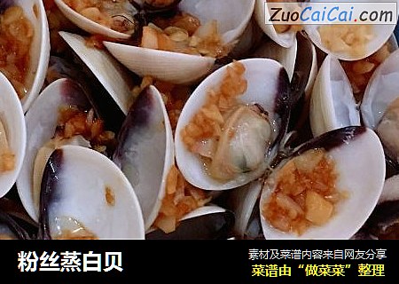 粉丝蒸白贝