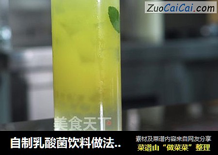 自制乳酸菌饮料做法：芒果波波鲜之多