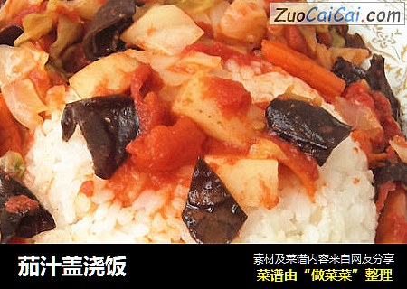 茄汁盖浇饭