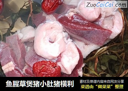 鱼腥草煲猪小肚猪横利