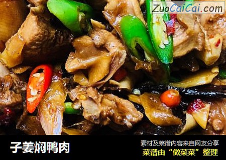 子姜焖鸭肉