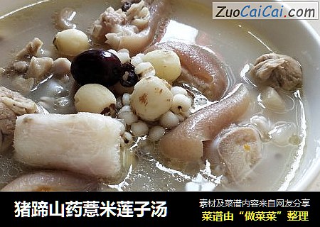 猪蹄山药薏米莲子汤
