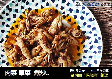 肉菜 荤菜  爆炒小鱿鱼