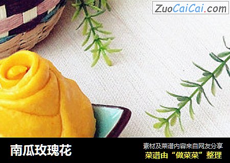 南瓜玫瑰花