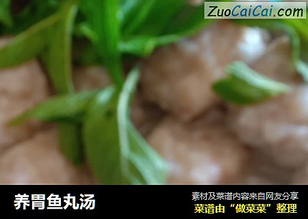 养胃鱼丸汤