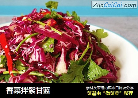 香菜拌紫甘蓝