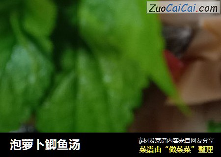 泡萝卜鲫鱼汤