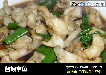 酱爆章鱼