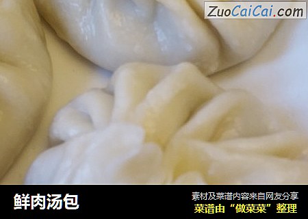鲜肉汤包