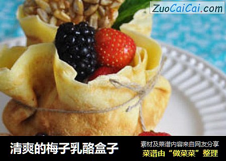 清爽的梅子乳酪盒子