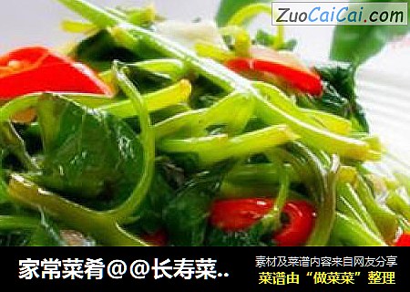 家常菜肴@@长寿菜~~清炒番薯叶
