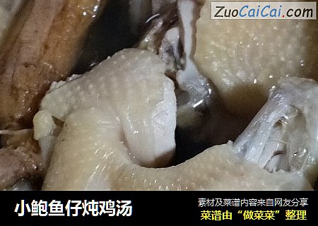 小鲍鱼仔炖鸡汤