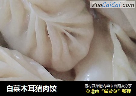 白菜木耳猪肉饺
