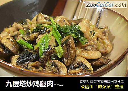 九层塔炒鸡腿肉--无肉不欢