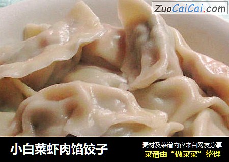 小白菜虾肉馅饺子