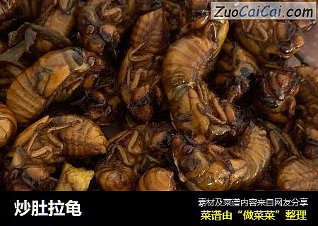 炒肚拉龟