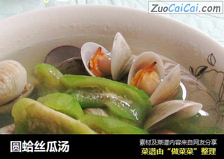 圆蛤丝瓜汤