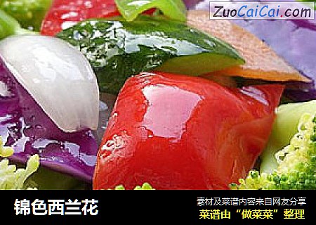锦色西兰花