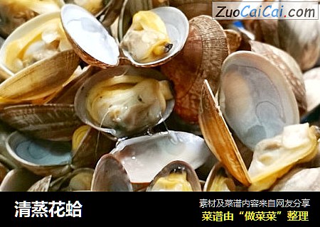 清蒸花蛤