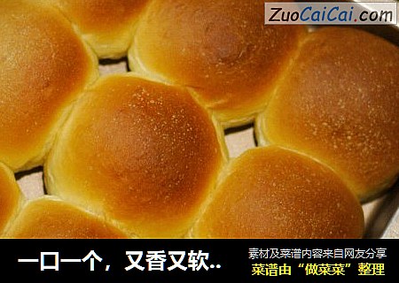 一口一个，又香又软的小餐包出炉啦