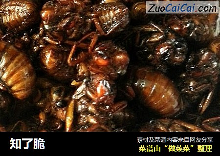 知了脆