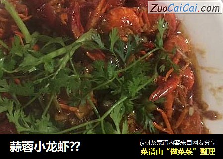 蒜蓉小龙虾??