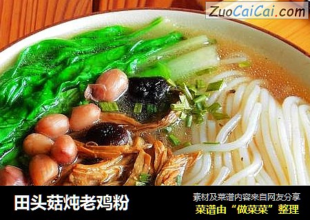 田头菇炖老鸡粉