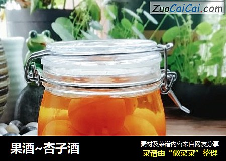 果酒~杏子酒