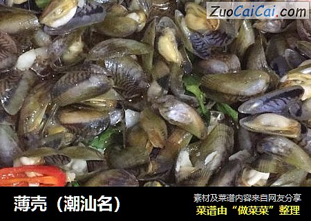 薄壳（潮汕名）