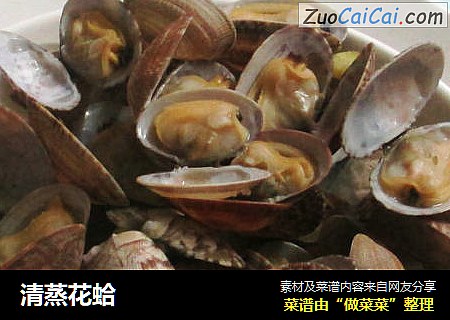 清蒸花蛤