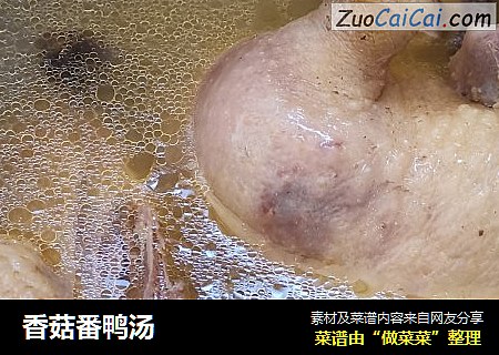香菇番鸭汤
