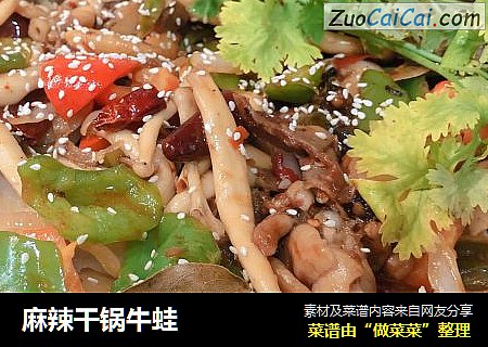 麻辣干锅牛蛙