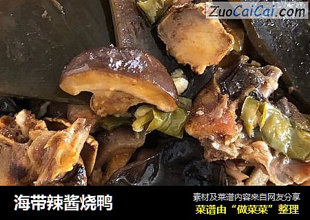 海带辣酱烧鸭